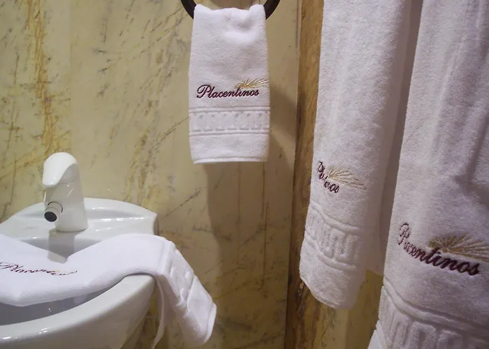 ホテル Microtel Placentinos 2*